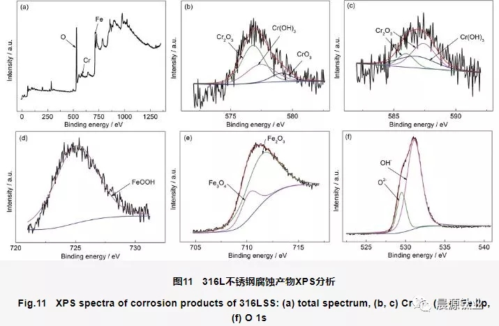 316L不銹鋼表面腐蝕產物的XPS圖譜