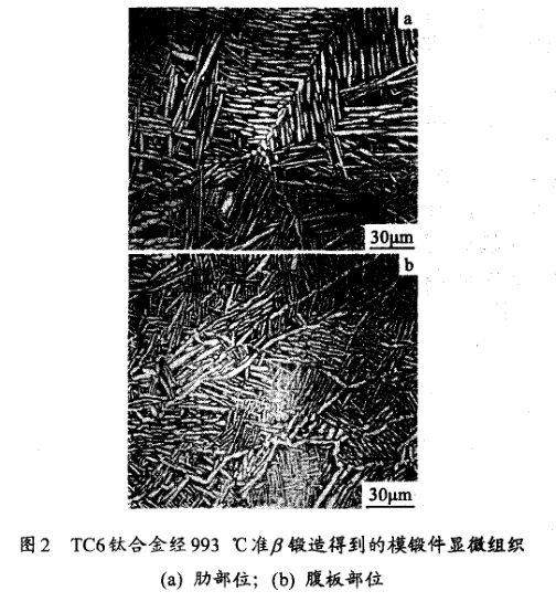 TC6鈦合金經993 ℃準鍛造得到的模鍛件顯微組織(a) 肋部位；(b) 腹板部位
