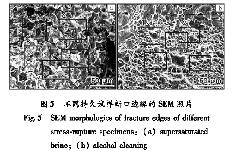 1659106531863611.jpg t5.jpg