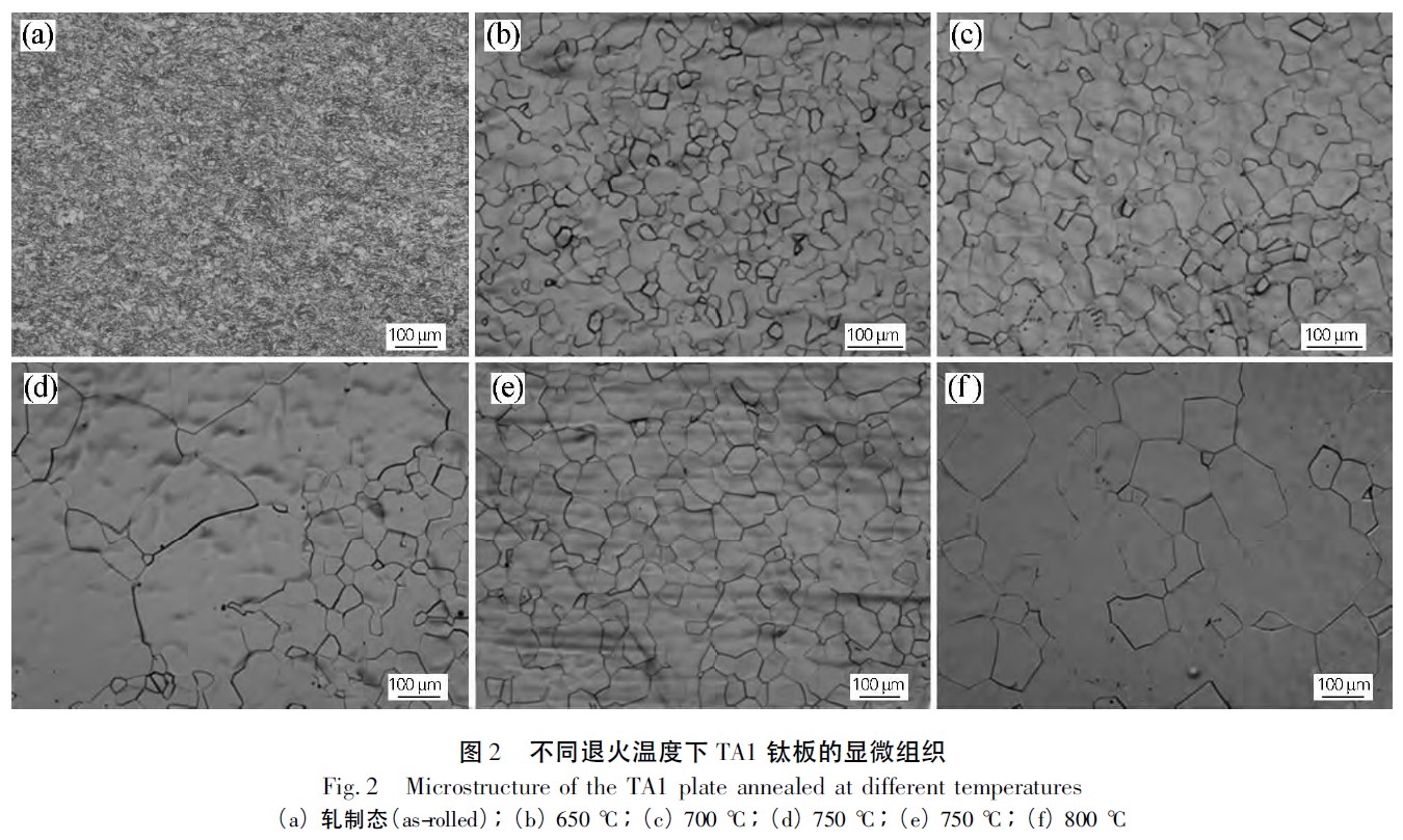 1672032813592862.jpg t2.jpg