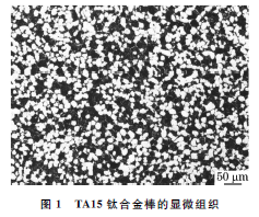 1677300830467899.png 1.png