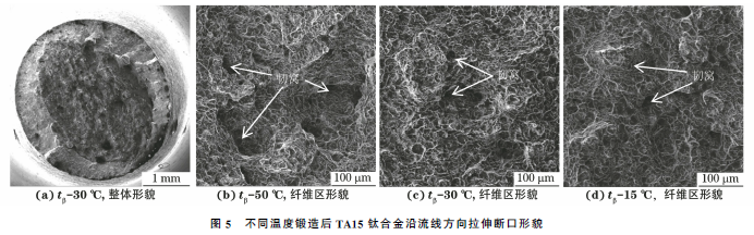 1677300895626527.png 5.png