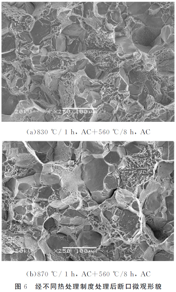 1677486422917300.jpg t6.jpg