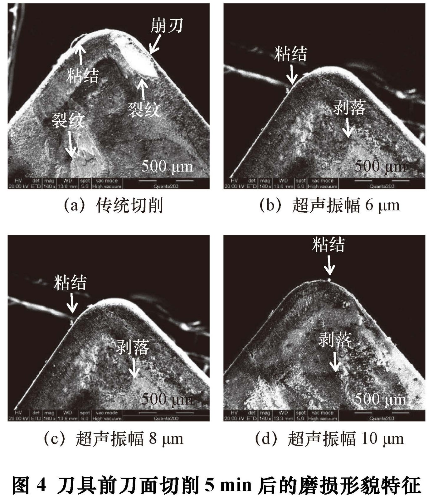 1681033862156860.jpg t4.jpg