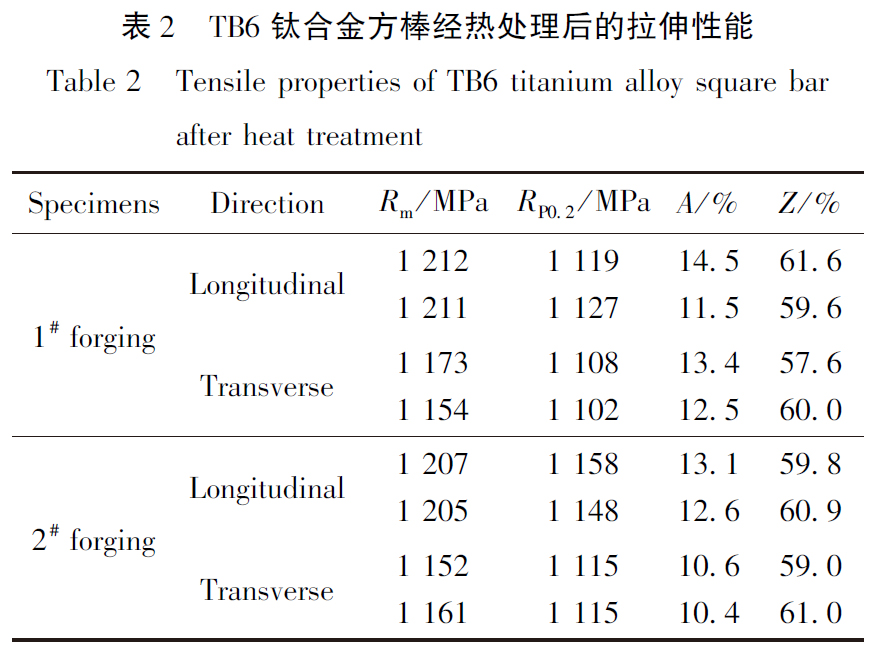 1683452503179868.jpg b2.jpg