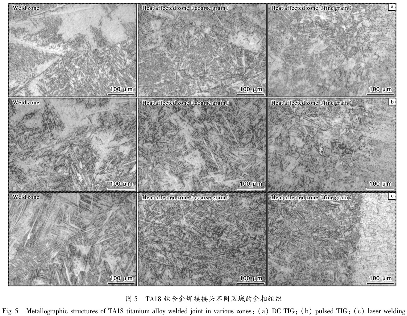 1688827969446111.jpg t5.jpg