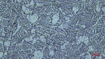 1691499424732920.jpg 4.jpg