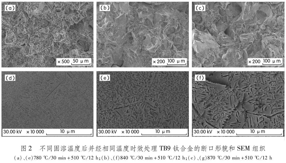 1694488175379411.jpg t2.jpg