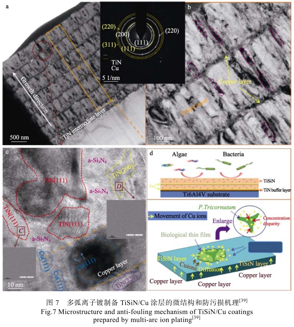 1700445541516375.jpg t7.jpg