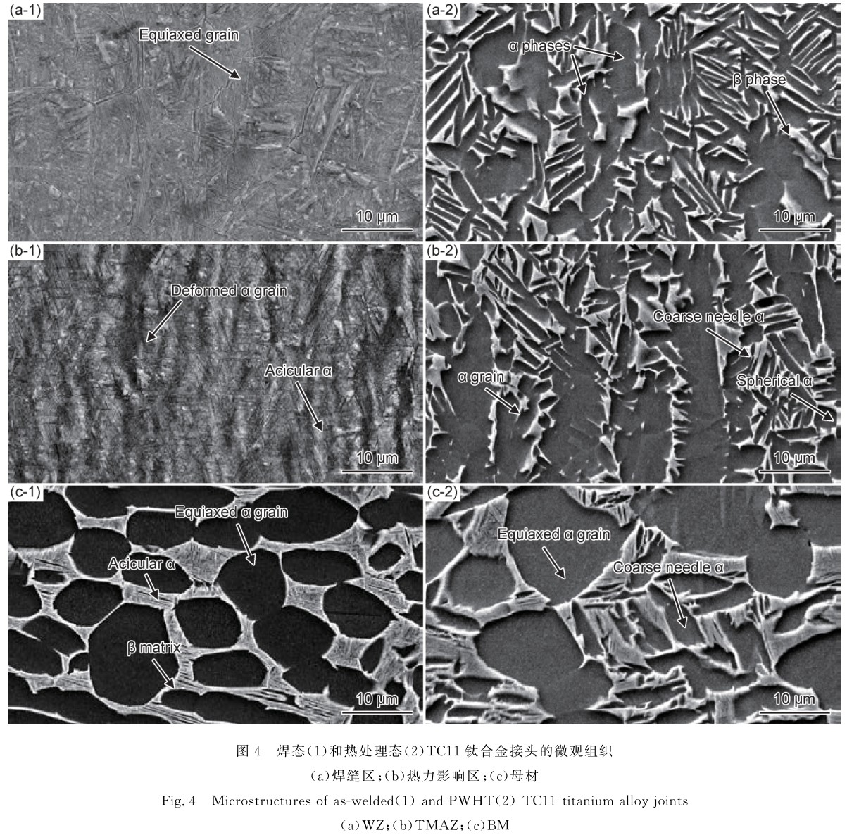 1700650311123365.jpg t4.jpg