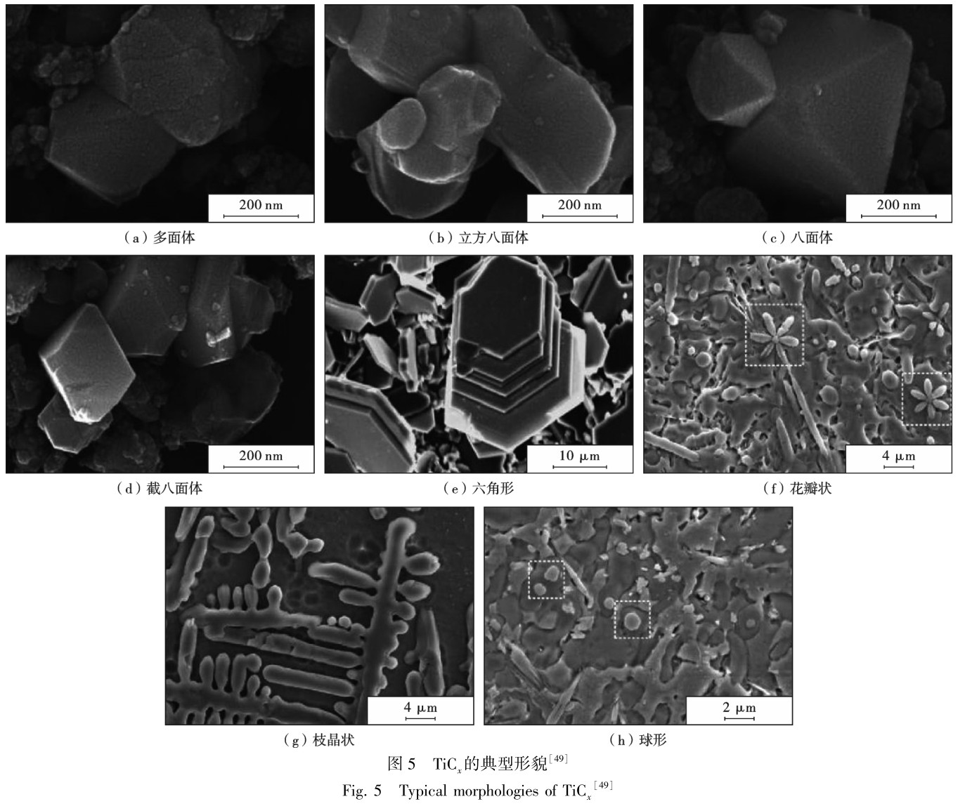 1704812729749845.jpg t5.jpg