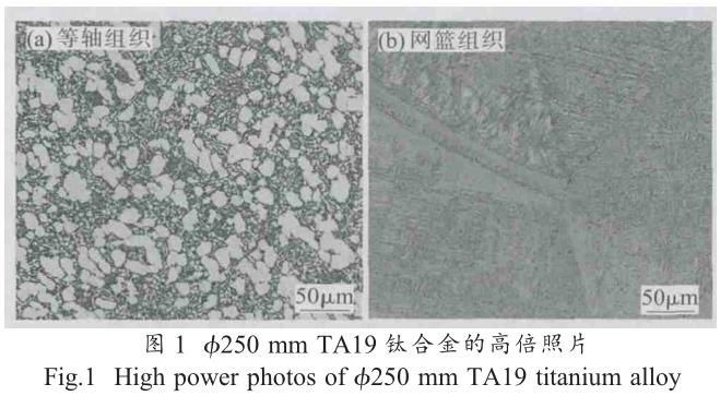 1705759930258509.jpg t1.jpg