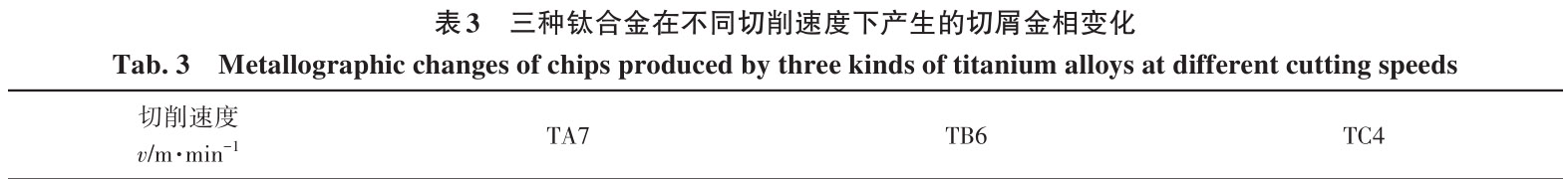 1712877117265813.jpg b3.jpg