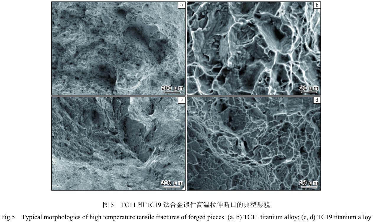 1713444027688644.jpg 360截圖16560312598937.jpg