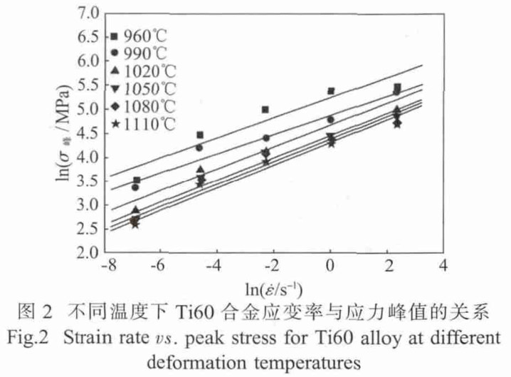 1713495460128877.jpg t2.jpg