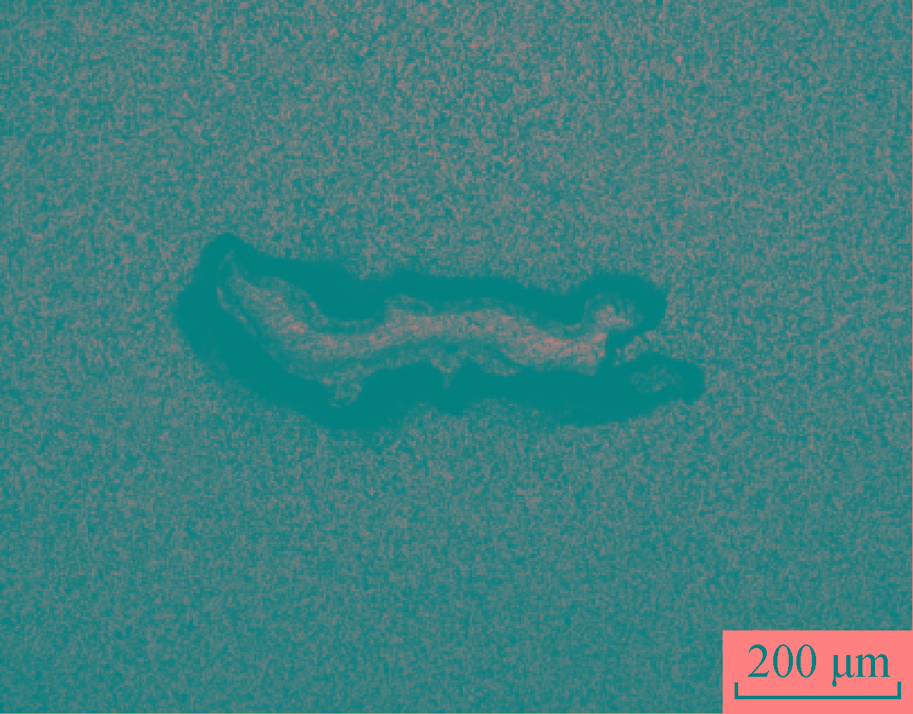 1713924181590845.jpg 6.jpg