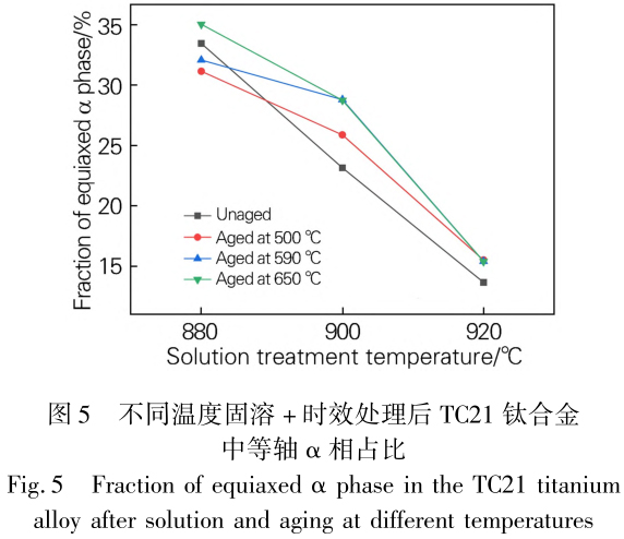 1715503035444562.jpg t5.jpg