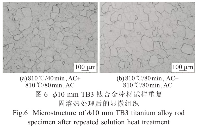 1726738239386441.jpg t6.jpg