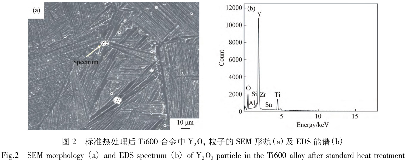 1727953341369904.jpg t2.jpg