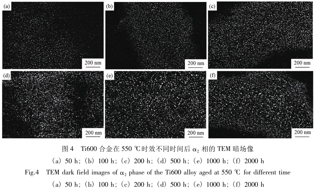 1727953365760847.jpg t4.jpg