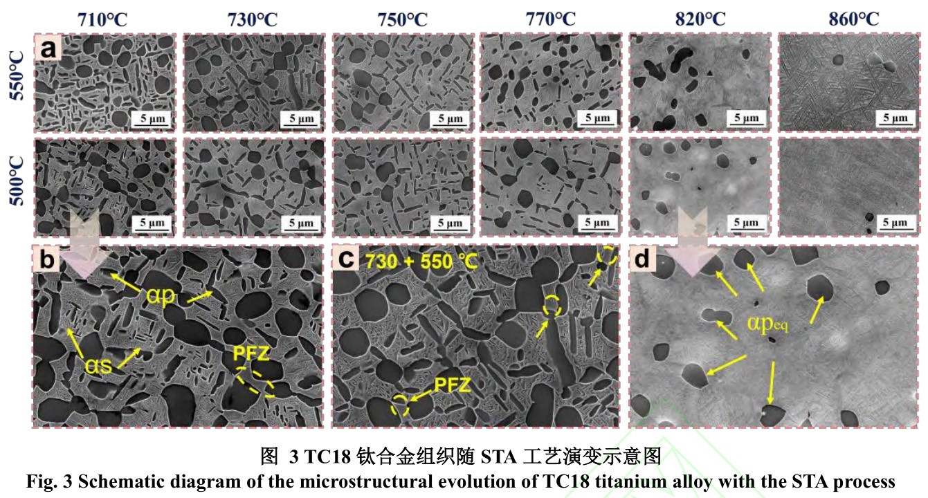 1729675148870324.jpg 3.jpg