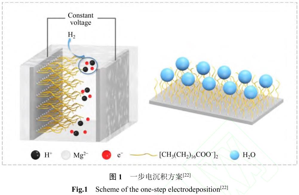 1729739657909882.jpg 360截圖166107256210990.jpg