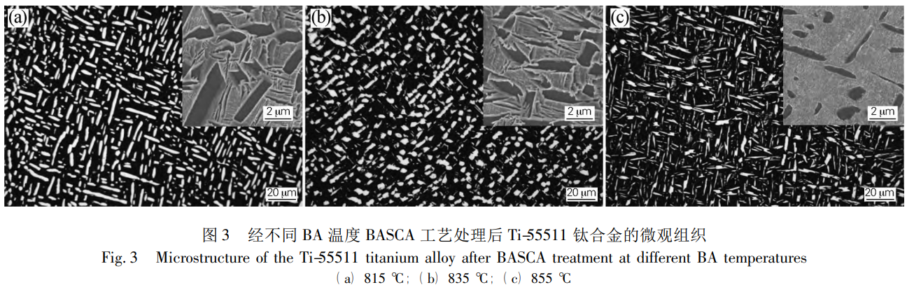 1735182061271396.png 3.png