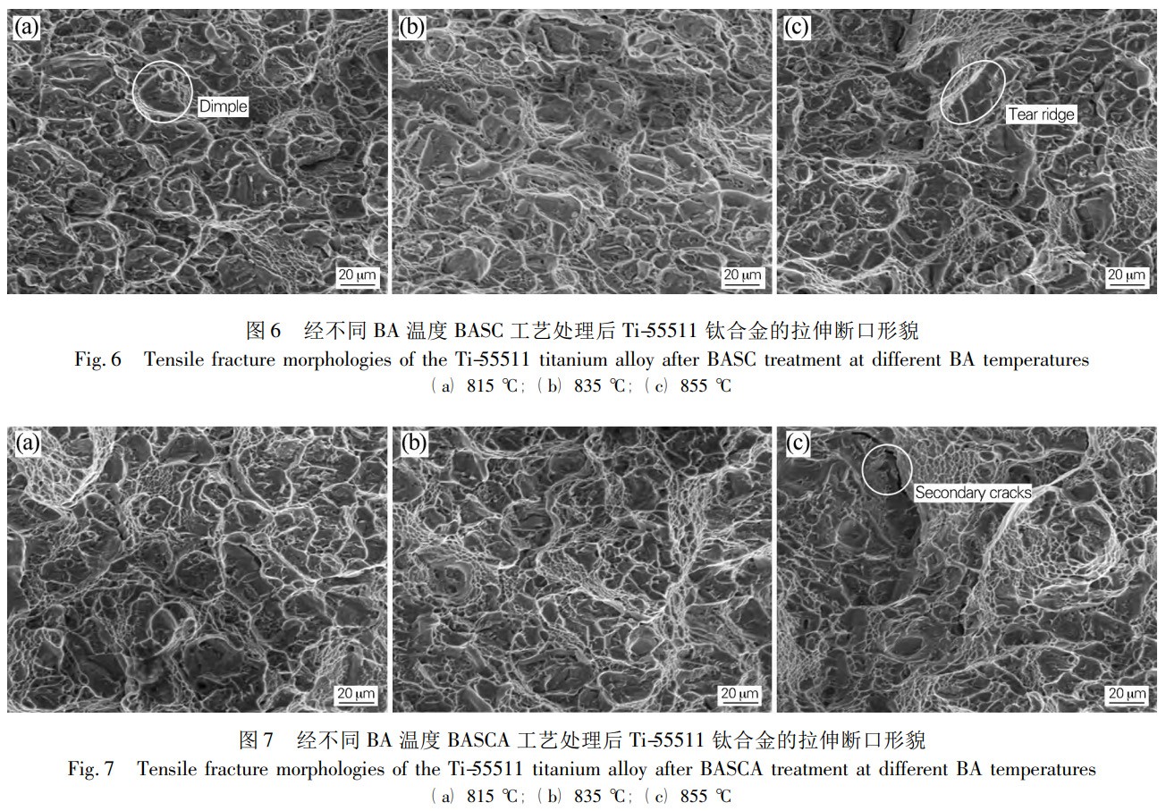 1735182091715533.jpg 6-7.jpg