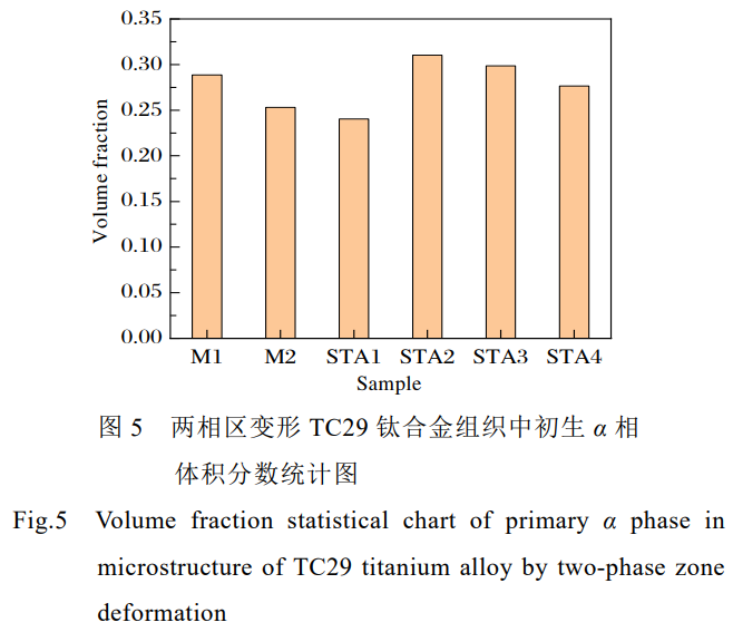 1736066971686752.png 5.png