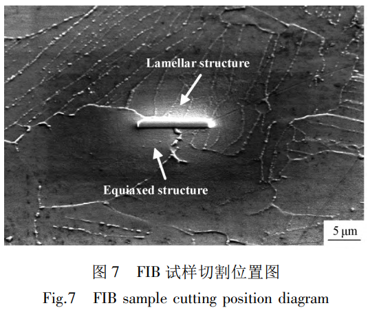 1739699261162191.png 截圖20250216174325.png