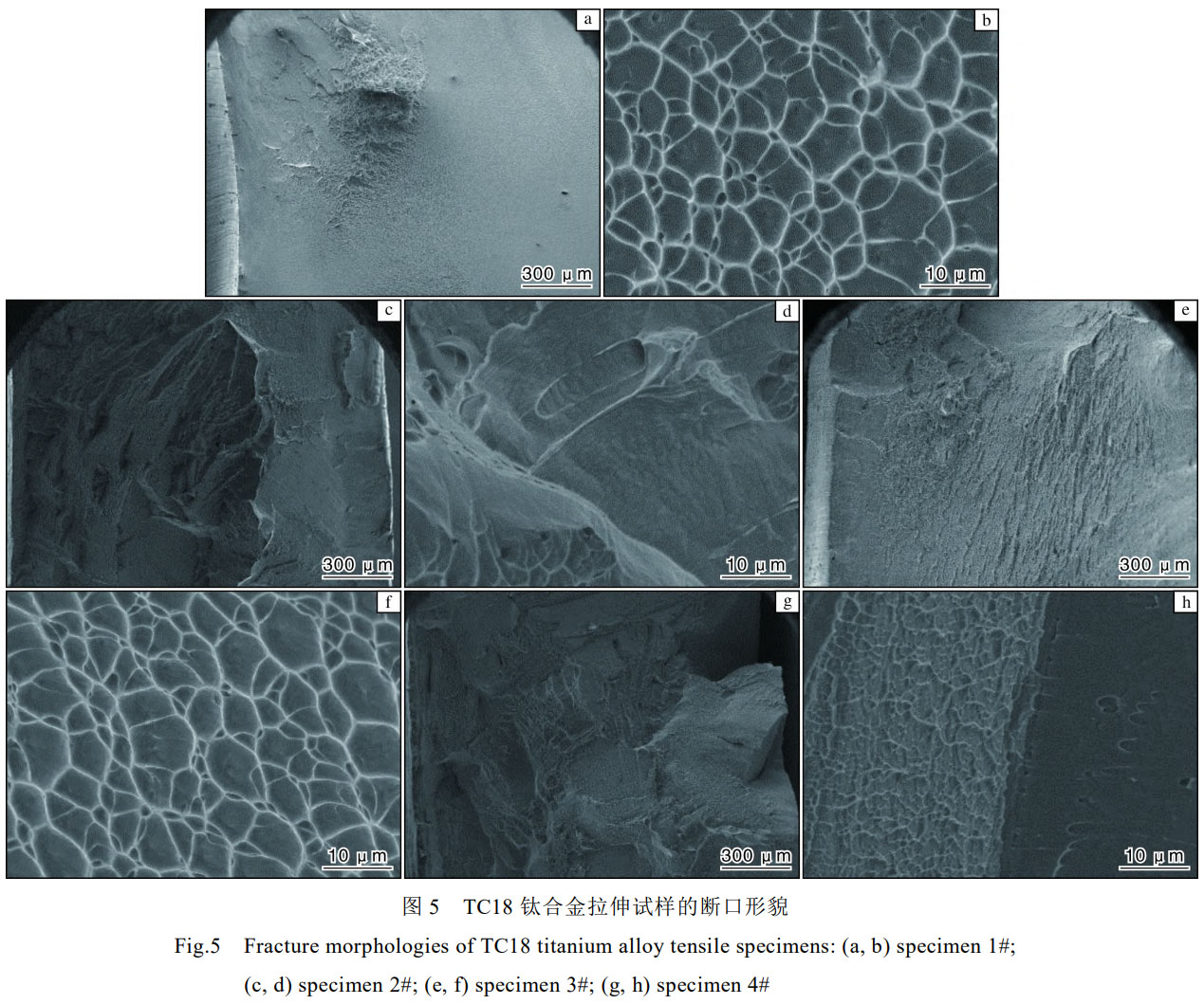 1758077235789409.jpg 未標題-3.jpg