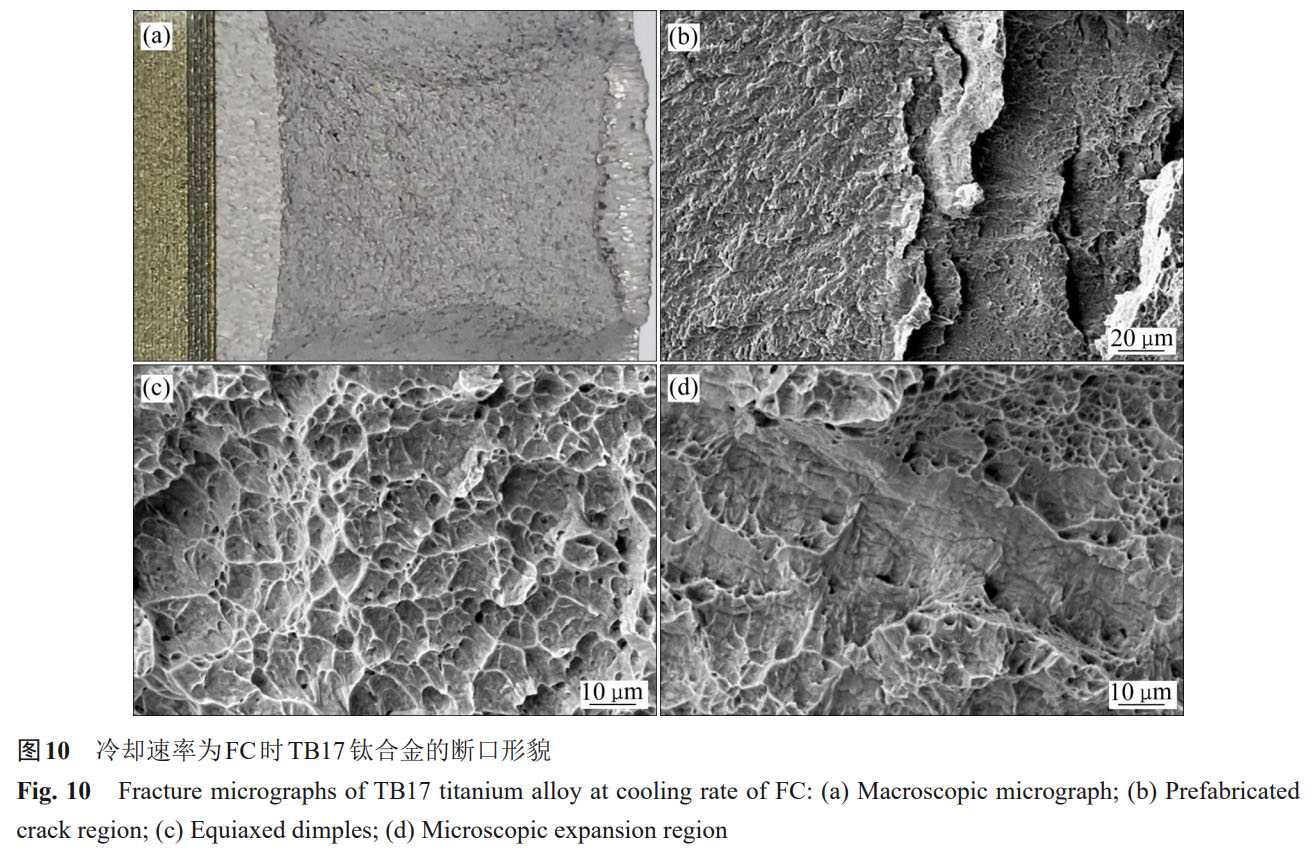 1759845314902396.jpg 未標(biāo)題-4.jpg