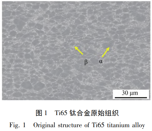 1762333401605121.png 截圖20251105165526.png