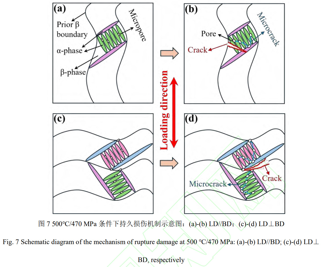 1764059950575341.jpg 未標題-1.jpg
