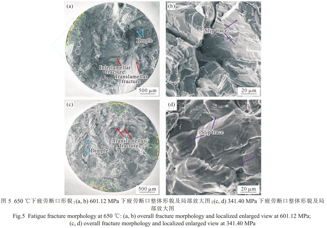 1766305340268982.jpg 未標題-1.jpg